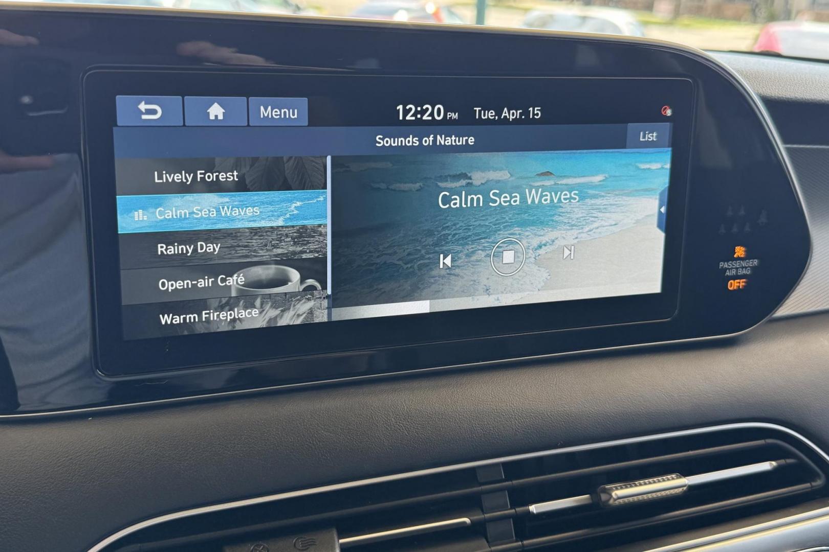 2021 Black /Black Hyundai Palisade SEL (KM8R4DHE4MU) with an V6 3.8 Liter engine, Automatic 8 Speed transmission, located at 2304 W. Main St., Boise, ID, 83702, (208) 342-7777, 43.622105, -116.218658 - Photo#10