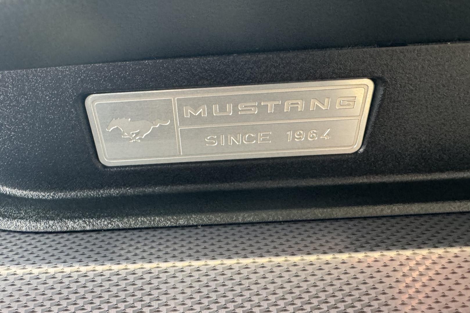 2017 Ingot Silver /Black Ford Mustang GT (1FA6P8CF8H5) with an V8 5.0 liter engine, 6 Speed Manual transmission, located at 2304 W. Main St., Boise, ID, 83702, (208) 342-7777, 43.622105, -116.218658 - Low Miles! Fast And Fun! - Photo#15