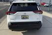 2024 Ice Cap White /Black Toyota RAV4 XLE (2T3P1RFV4RW) with an 4 Cyl 2.5 Liter engine, Automatic 8 Speed transmission, located at 2304 W. Main St., Boise, ID, 83702, (208) 342-7777, 43.622105, -116.218658 - Remaining Factory Warranty! Wireless Apple Car Play/Android Auto Too! - Photo#1