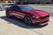 2016 Ruby Red Metallic /Black Ford Mustang GT Premium California Special (1FA6P8CFXG5) with an V8 5.0 Liter engine, Automatic 6 Speed transmission, located at 2304 W. Main St., Boise, ID, 83702, (208) 342-7777, 43.622105, -116.218658 - Highly Optioned And Clean! - Photo#2