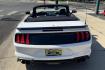 2021 Oxford White /Black Ford Mustang GT Premium (1FATP8FF5M5) with an V8 5.0 Liter engine, Automatic 10 Speed transmission, located at 2304 W. Main St., Boise, ID, 83702, (208) 342-7777, 43.622105, -116.218658 - Incredibly Gorgeous Mustang GT Premium! - Photo#1