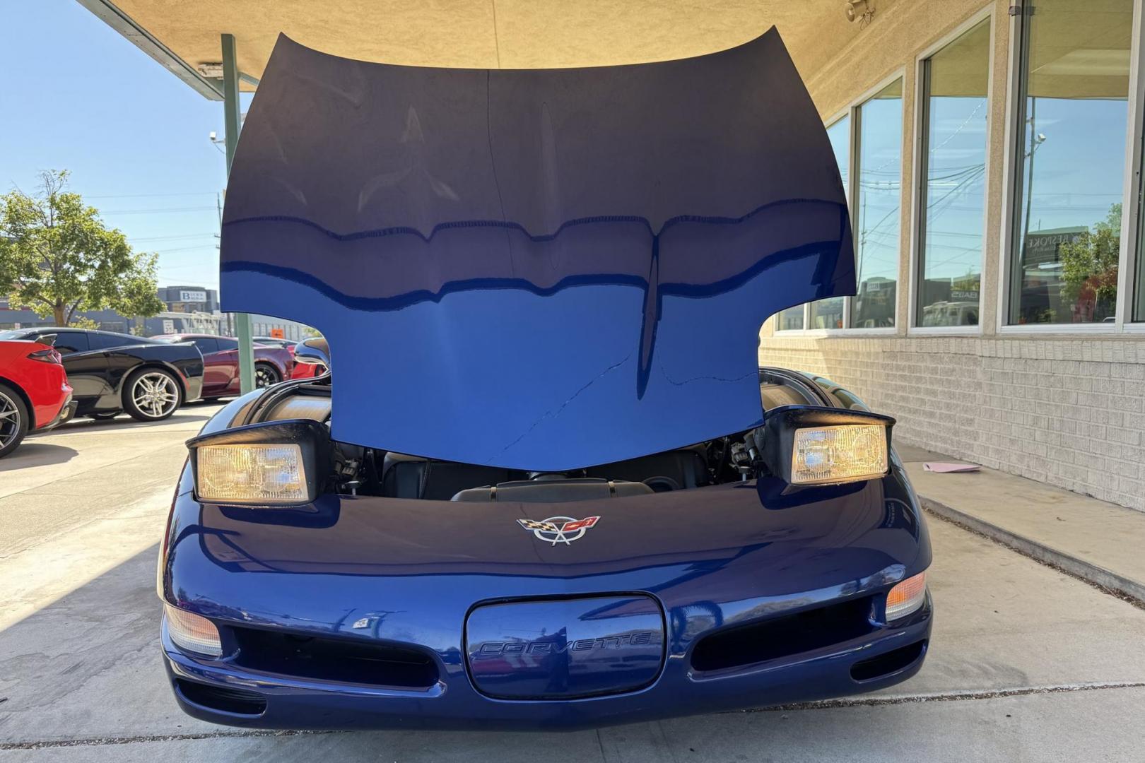 2004 Lemans Blue /Shale Chevrolet Corvette Commemorative Edition (1G1YY32G345) with an V8 5.7 Liter engine, 6 Speed Manual transmission, located at 2304 W. Main St., Boise, ID, 83702, (208) 342-7777, 43.622105, -116.218658 - 24k Miles! Only 2,659 Commemorative Edition Convertibles Were Produced! - Photo#14