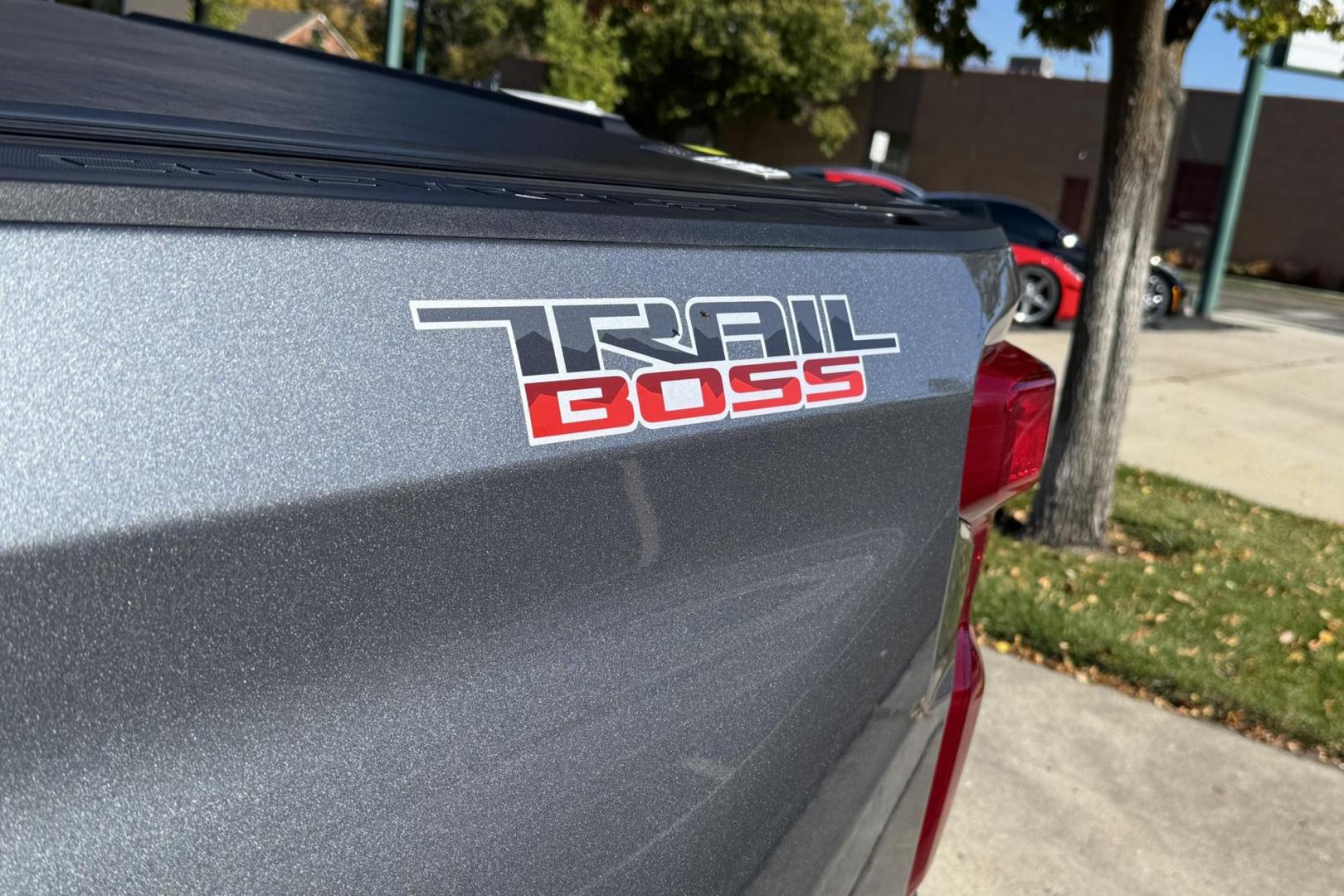 2021 Satin Steel Metallic /Jet Black Chevrolet Silverado 1500 LT Trail Boss Z/71 (1GCPYFED2MZ) with an V8 5.3 Liter engine, Automatic 10 Speed transmission, located at 2304 W. Main St., Boise, ID, 83702, (208) 342-7777, 43.622105, -116.218658 - Z/71 LT Trail Boss! Ready To Go! - Photo#5
