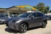 2020 Nebula Gray Pearl /Black Lexus NX 300h 300h (JTJGJRDZ4L2) with an 4 Cyl 2.5 Liter Hybrid engine, Automatic transmission, located at 2304 W. Main St., Boise, ID, 83702, (208) 342-7777, 43.622105, -116.218658 - Hard To Find, Low Mileage Hybrid! New Tires Too! - Photo#0
