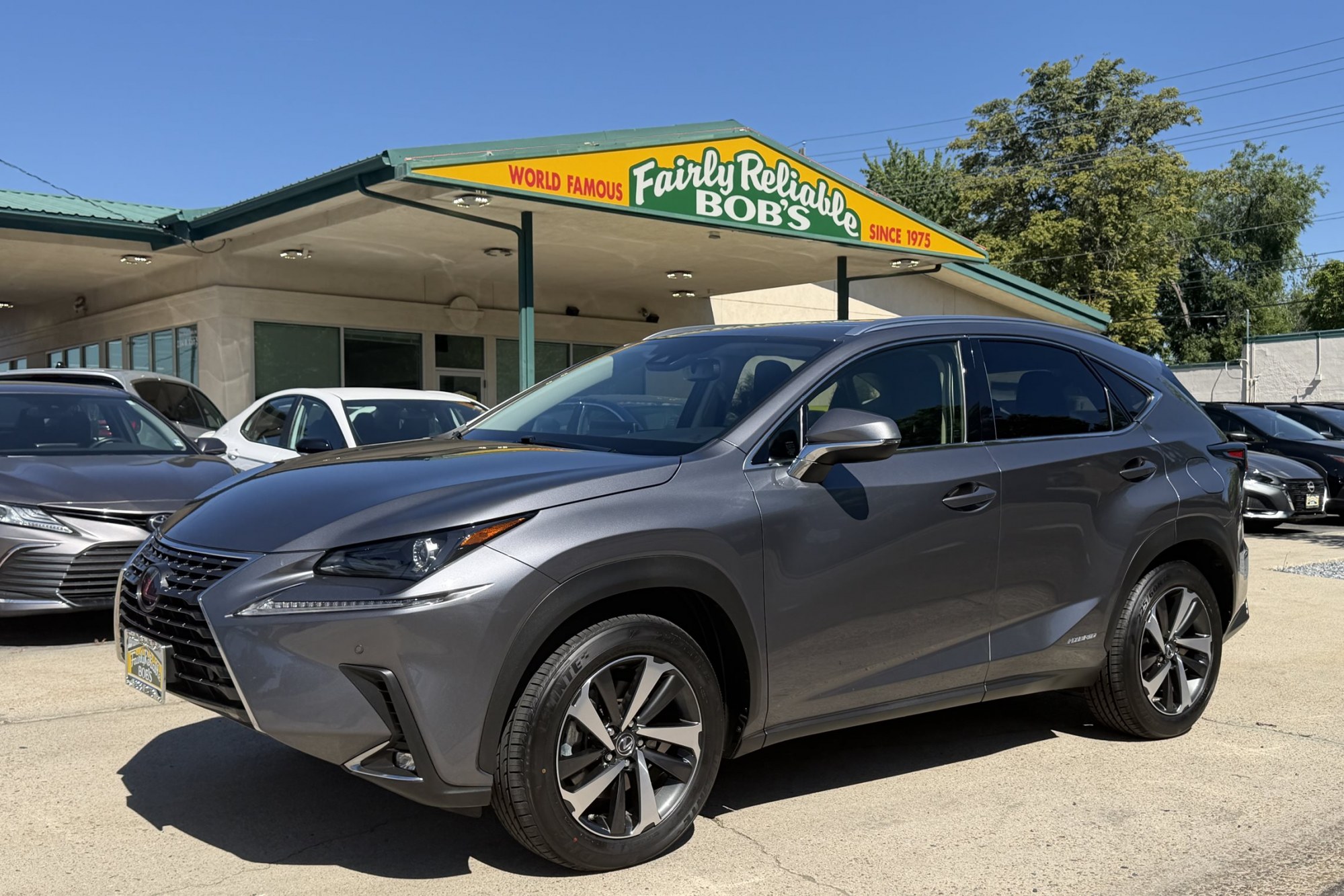 photo of 2020 Lexus NX 300h All Wheel Drive