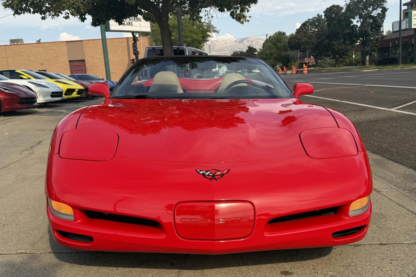 1998 Torch Red /Tan Chevrolet Corvette (1G1YY32G3W5) with an V8 5.7 Liter engine, Automatic transmission, located at 2304 W. Main St., Boise, ID, 83702, (208) 342-7777, 43.622105, -116.218658 - Low Mileage Corvette Convertible! Ready For Fun!- Photo#3