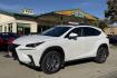 2021 Eminent White Pearl /Red Lexus NX 300 Luxury (JTJGARDZXM5) with an 4 Cyl 2.0 Liter Turbo engine, Automatic 6 Speed transmission, located at 2304 W. Main St., Boise, ID, 83702, (208) 342-7777, 43.622105, -116.218658 - Highly Optioned! Clean! All Wheel Drive With 18k Miles!- Photo#0