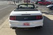 2023 Oxford White /Ebony Leather Ford Mustang GT Premium (1FATP8FF7P5) with an V8 5.0 Liter engine, Automatic 10 Speed transmission, located at 2304 W. Main St., Boise, ID, 83702, (208) 342-7777, 43.622105, -116.218658 - Stunning, Low Mileage GT Premium! Only 4,600 Miles!- Photo#1
